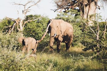 Southafrica_Anke_18