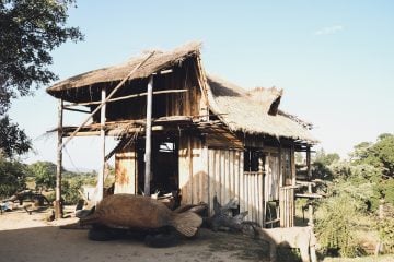 South Africa_Art_23