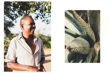 South Africa_Art_24