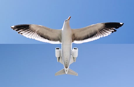 Stephen McMennamy Combines Photos Into Quirky Images