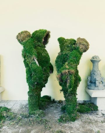 Two people facing each other dressed in moss.  The Moss Men of Bejar.