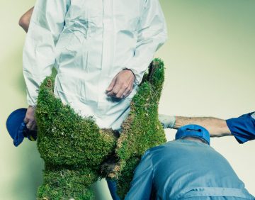 Man being dressed in a suit of moss.  The Moss Men of Bejar.