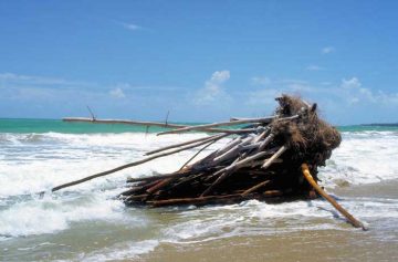 FilippoIoco_art-bamboodrift-PuertoRico