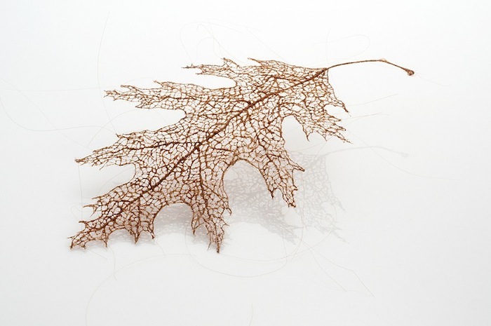 Jenine Shereos_Art_1