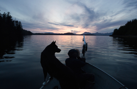 In Search Of A Simpler Life In The Alaskan Wilderness
