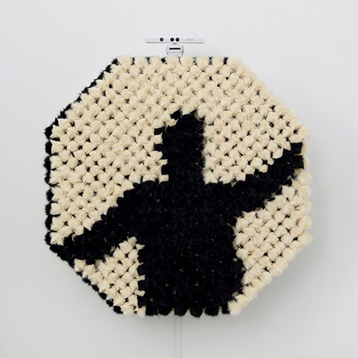 Artist Daniel Rozin Created An Interactive Mirror Made Of Faux Fur - IGNANT