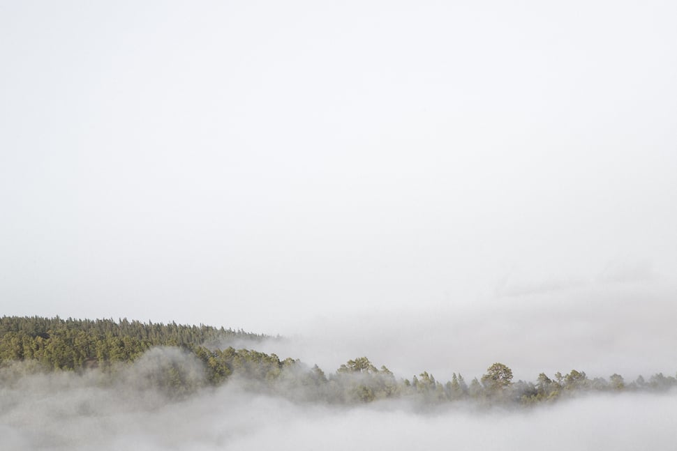 oljaryzevski_photography-01