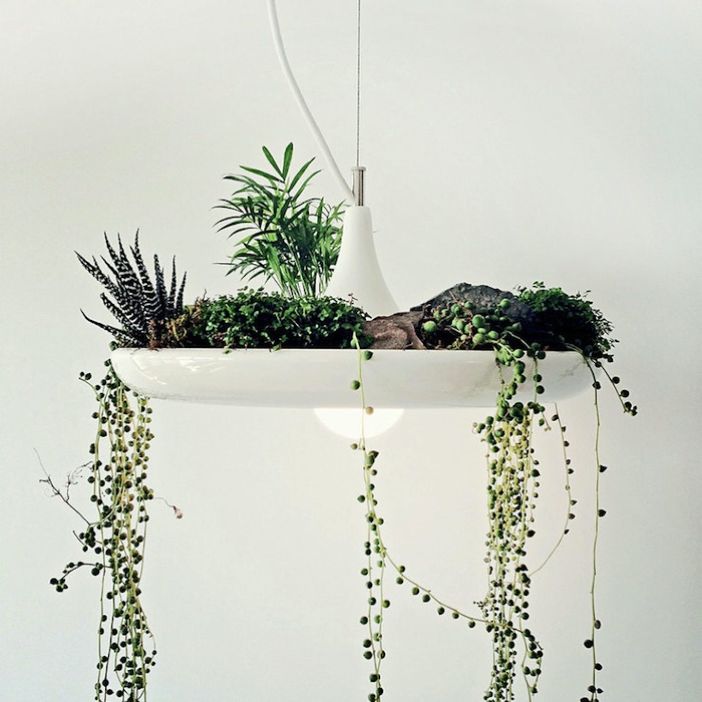 Object Interface Lighting Minimal Plantable Lamp By Object Interface - IGNANT