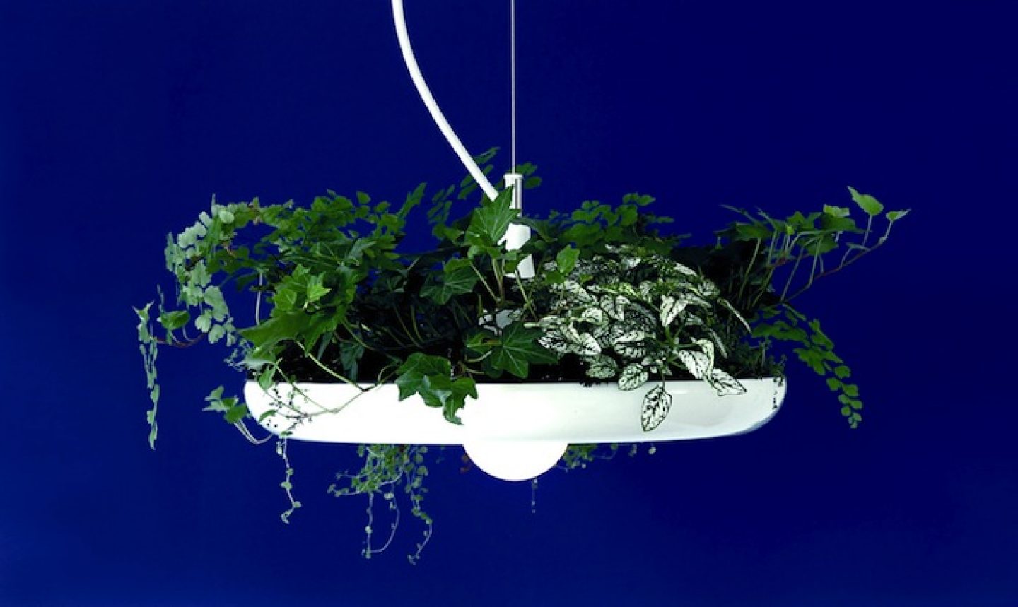 Object Interface Lighting Minimal Plantable Lamp By Object Interface - IGNANT