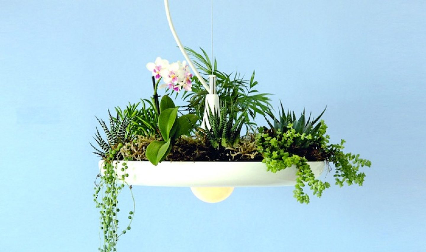 Object Interface Lighting Minimal Plantable Lamp By Object Interface - IGNANT