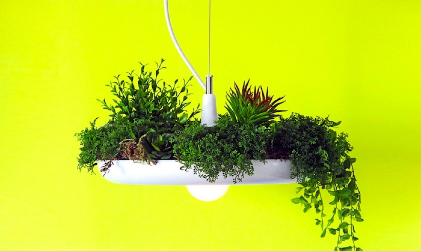 Object Interface Lighting Minimal Plantable Lamp By Object Interface - IGNANT