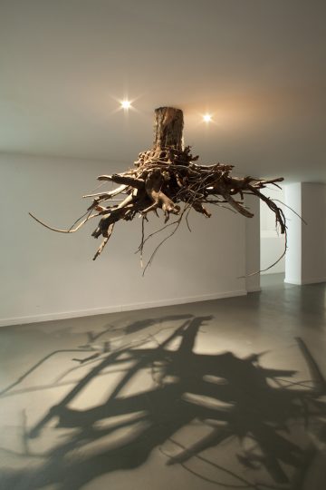 Tree Root Chandeliers By Artist, Tree Root Light Fixture
