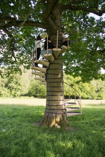 canopy_tree_stairs-thor_ter_kulve_robert_mcintyre_design_09