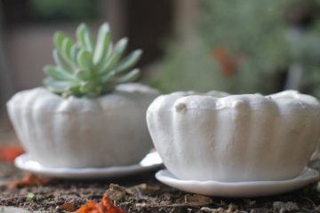 dailybasics_halloween-pumpkinplanter