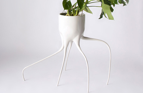 Monstera Plant Pots By Tim Van De Weerd