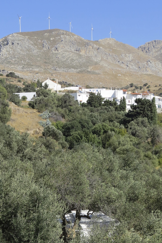 echoliving_ nesting below village