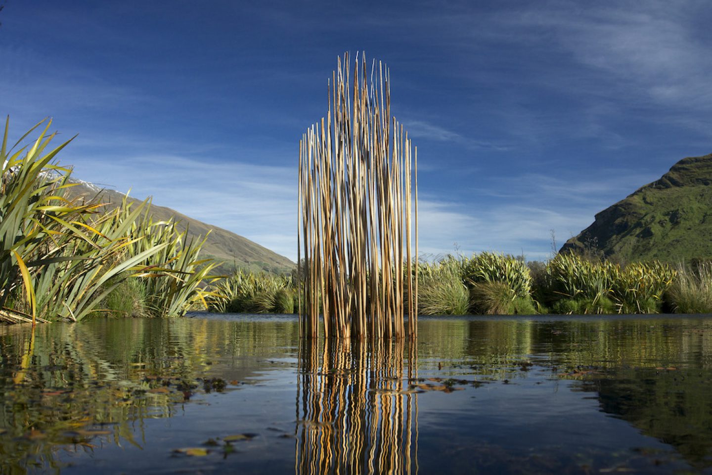 martinhill_art_ Wetland Guardian