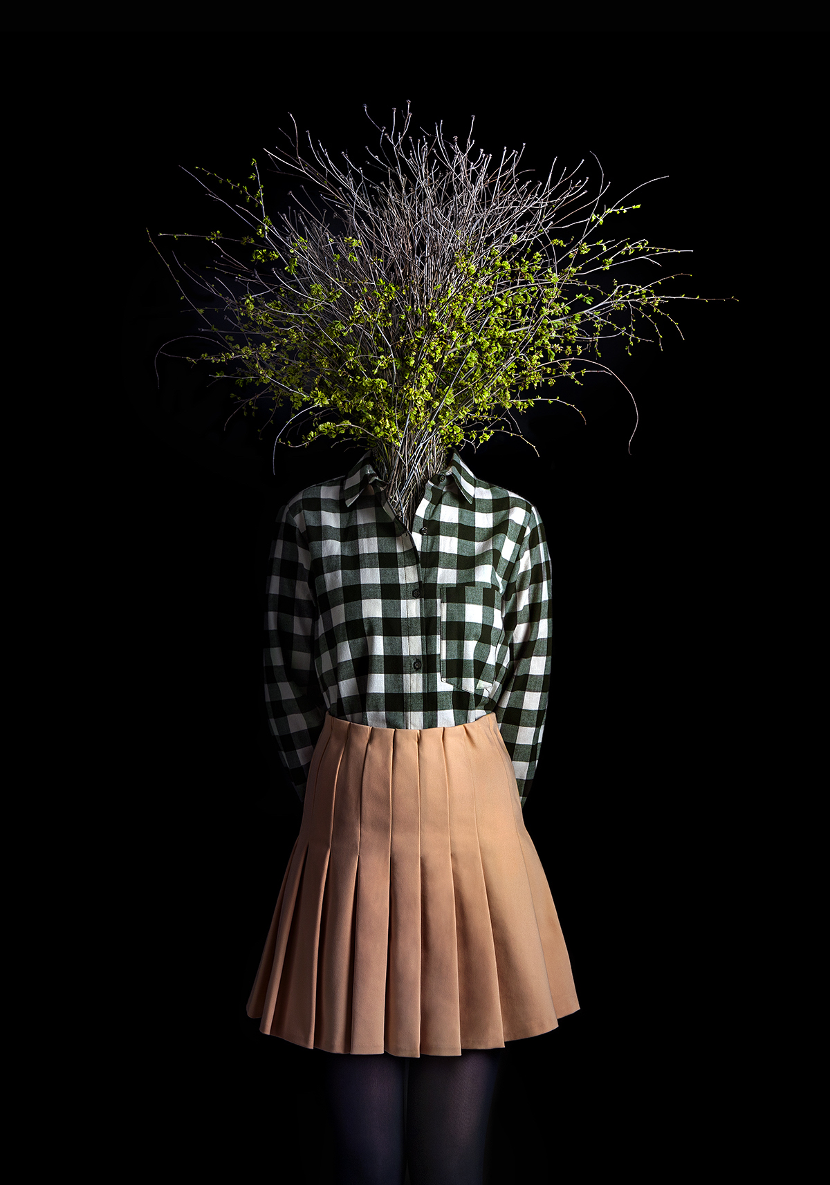 miguel-vallinas_roots_002