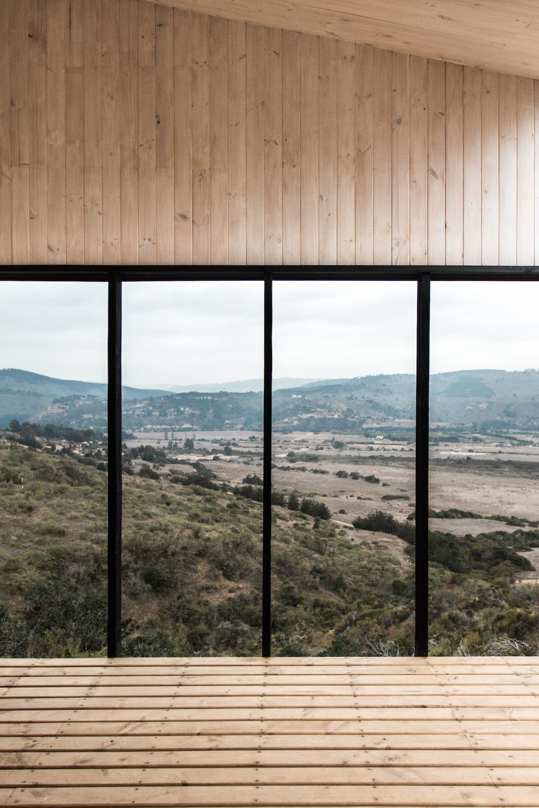 whale!_architecture_011