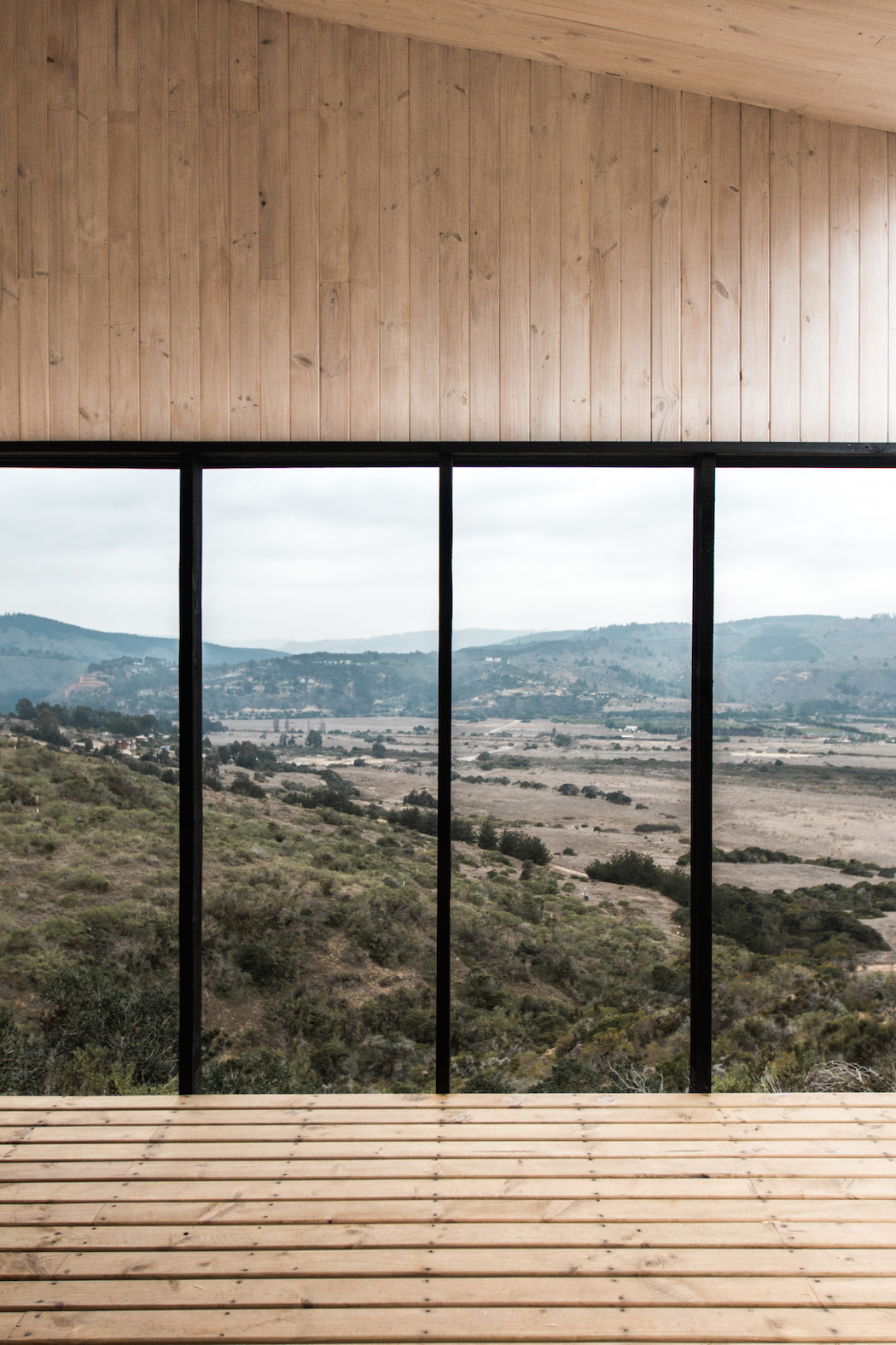 whale!_architecture_011