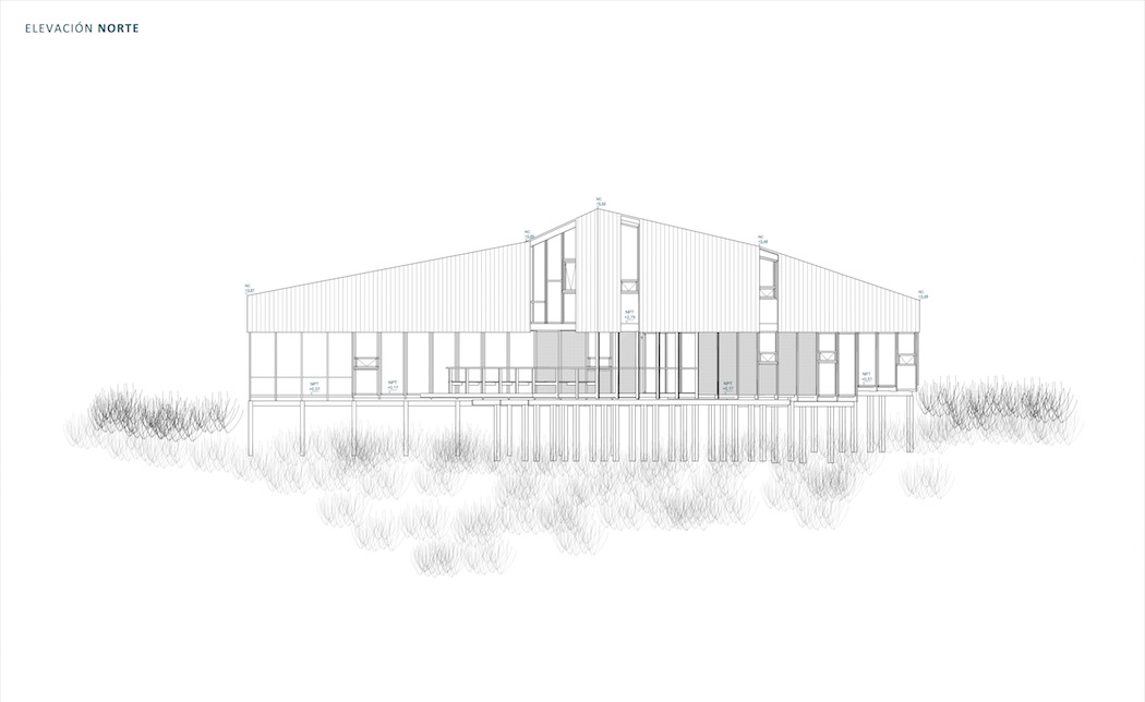whale!_architecture_015