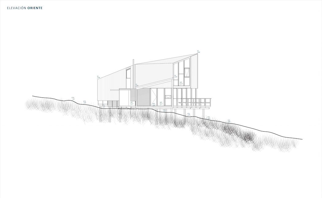 whale!_architecture_016