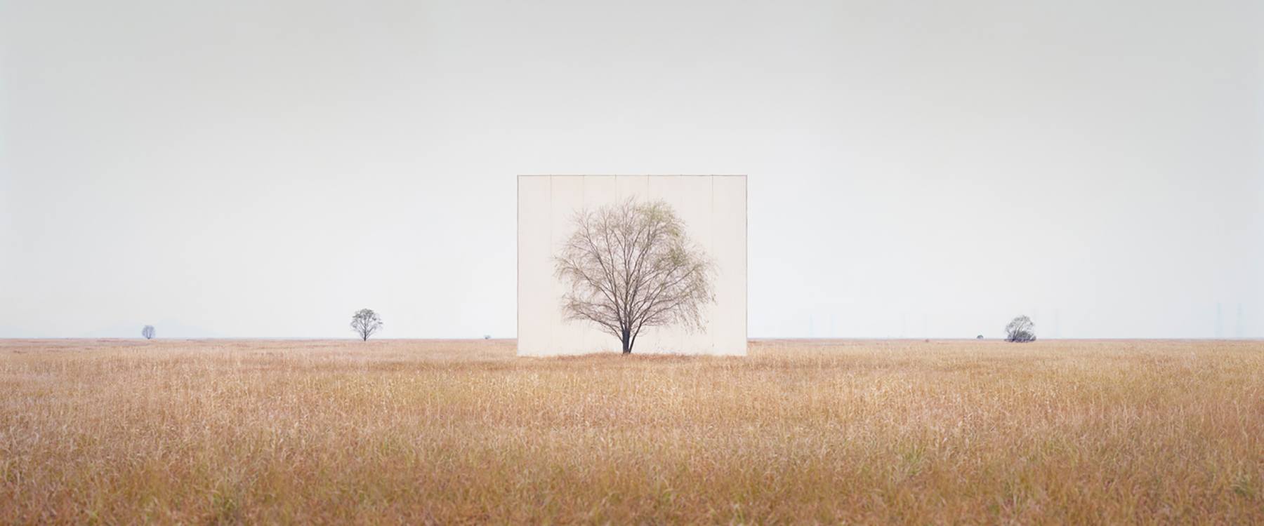 Nature Framed By Myoung Ho Lee - IGNANT