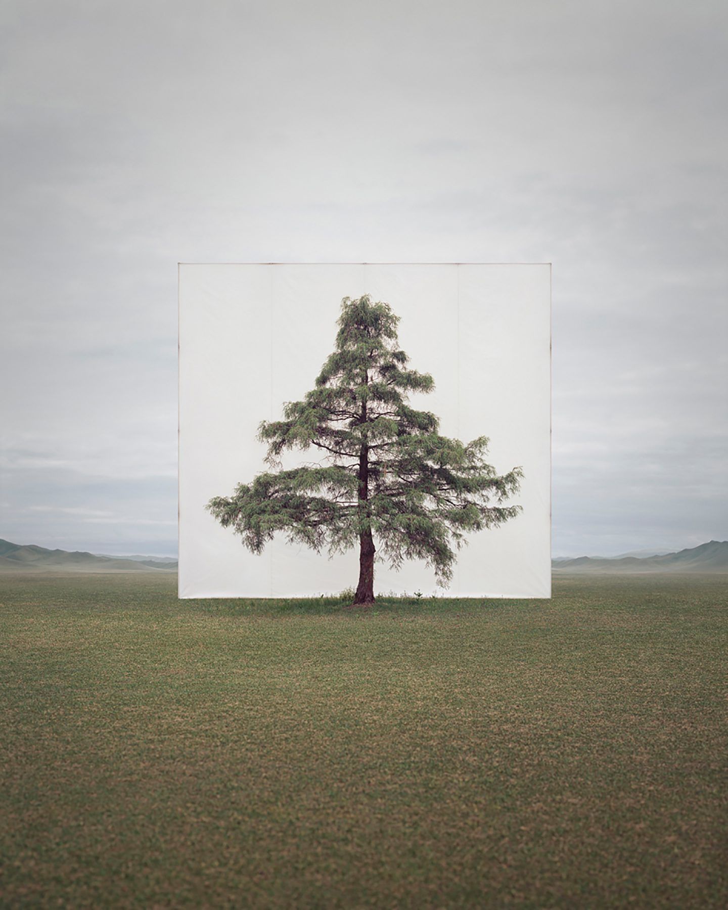 IGNANT-Art-Myoung-Ho-Lee-Tree-7