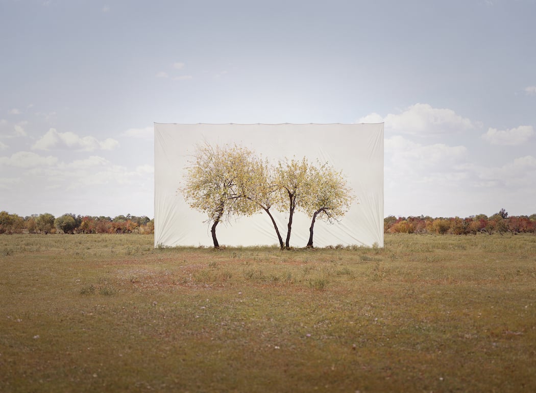 Myoung_Ho_Lee_Tree...4,2011