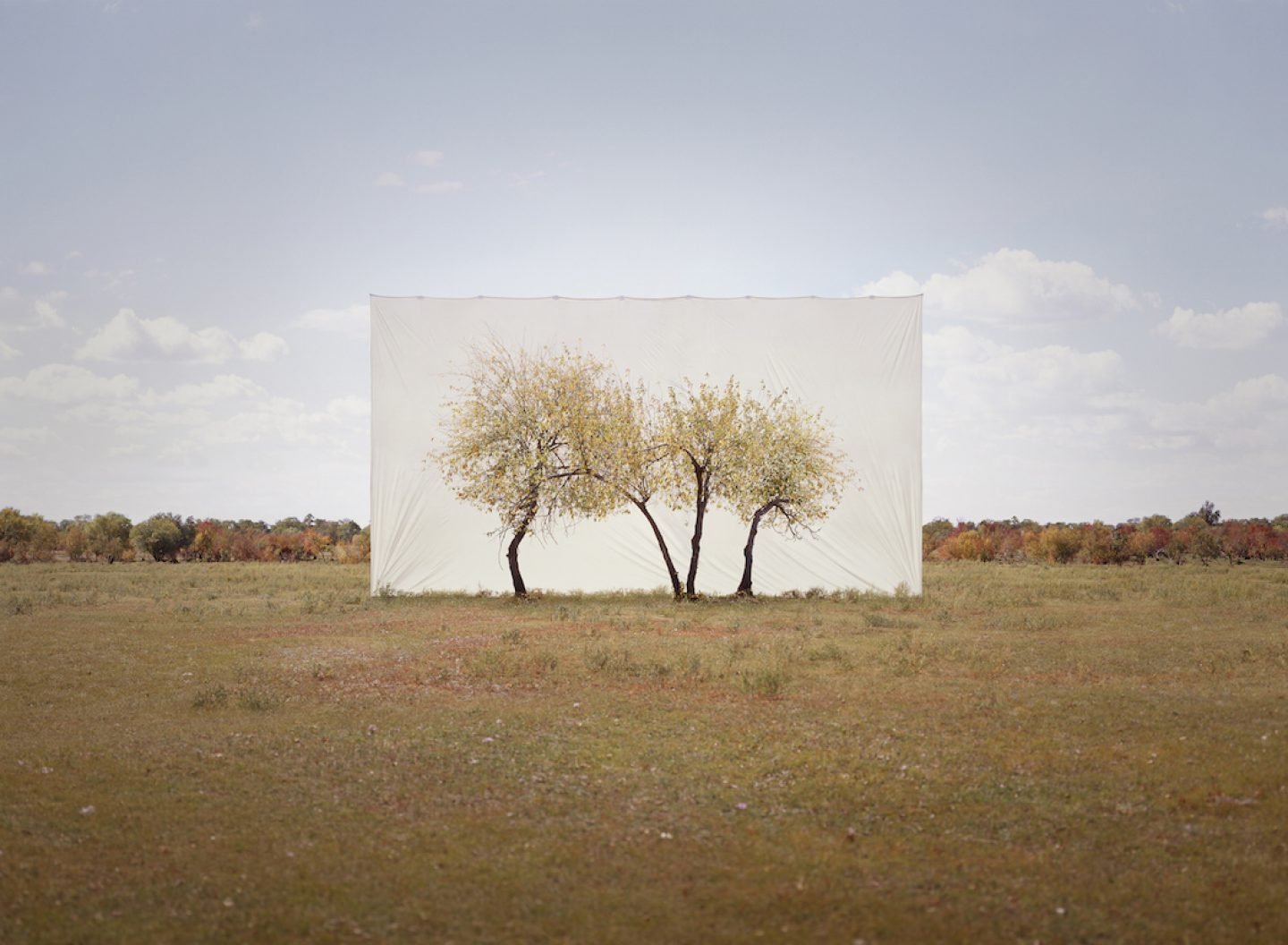 Nature Framed By Myoung Ho Lee - IGNANT