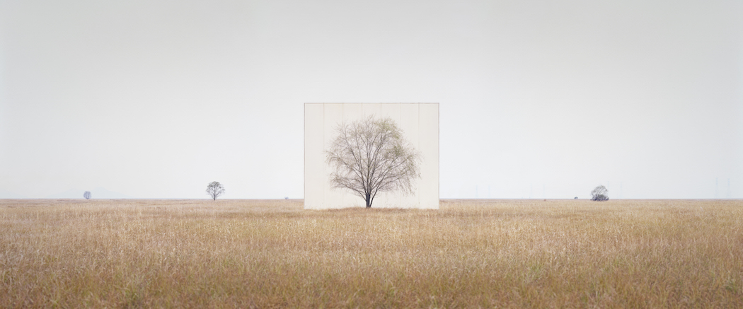Myoung_Ho_Lee_Tree...3,2011