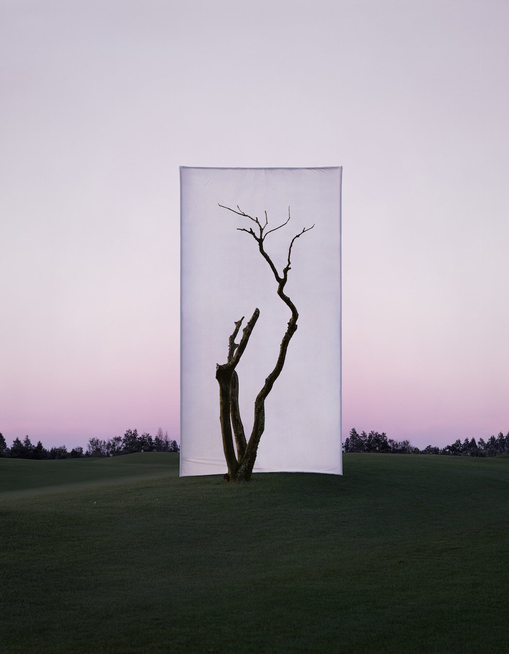 Myoung_Ho_Lee_Tree...1_2,2011