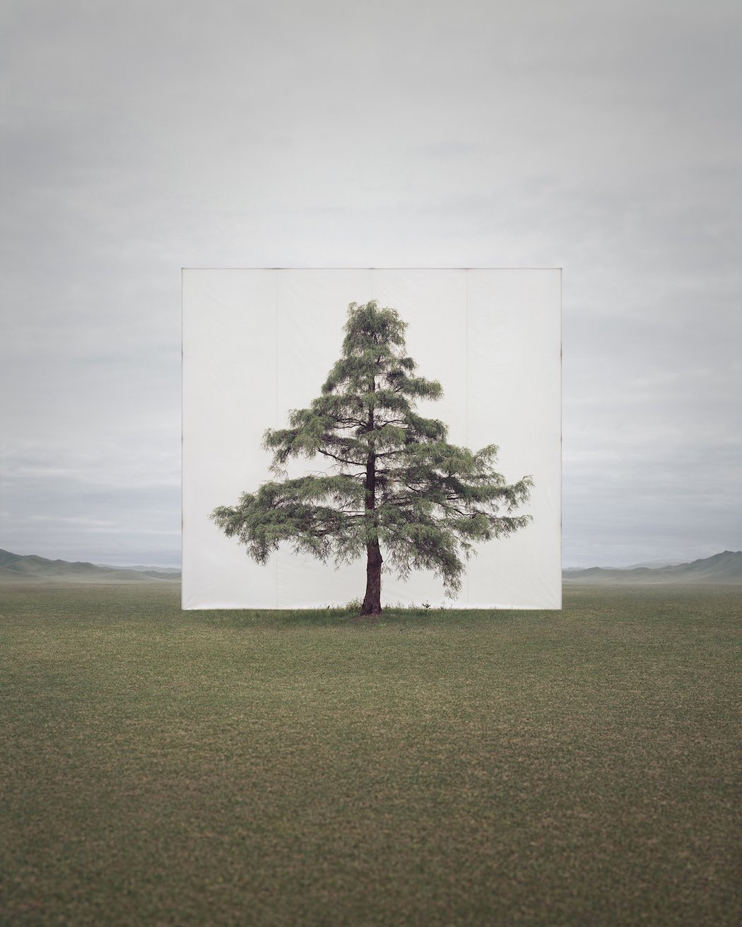 Myoung_Ho_Lee_Tree...6,2011