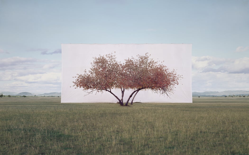 Myoung_Ho_Lee_Tree...2,2011
