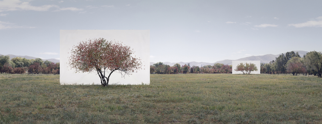 Myoung_Ho_Lee_Tree...7,2011