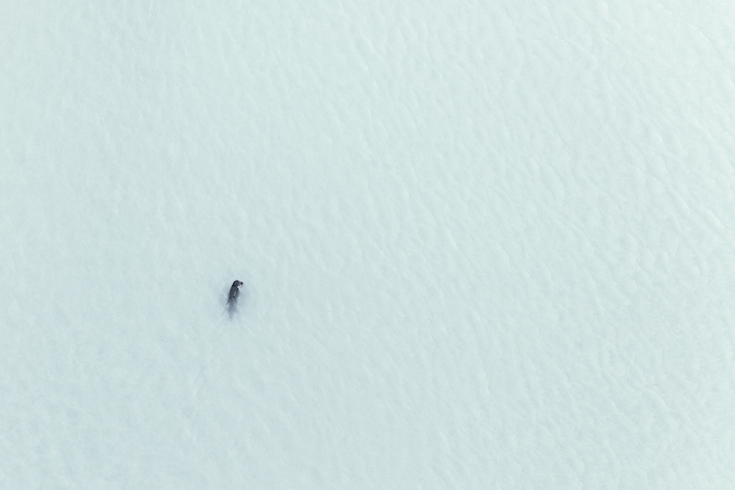 zack-seckler-iceland_photography_004