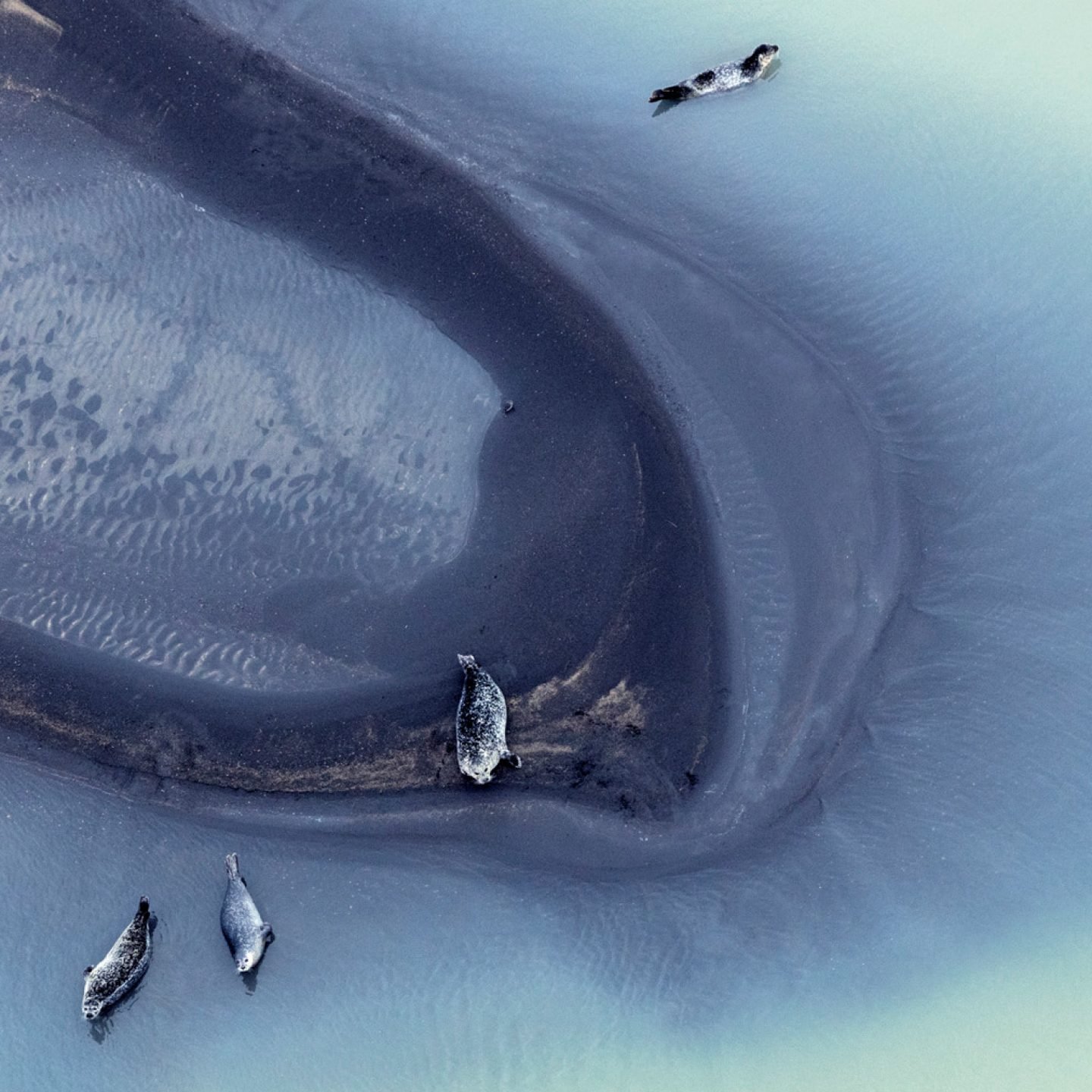 zack-seckler-iceland_photography_story