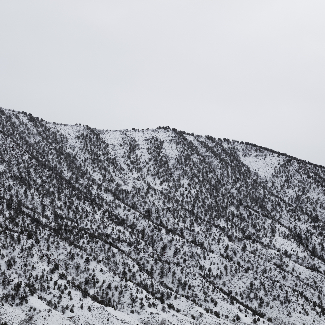 Nicholas_Worley_photography_001