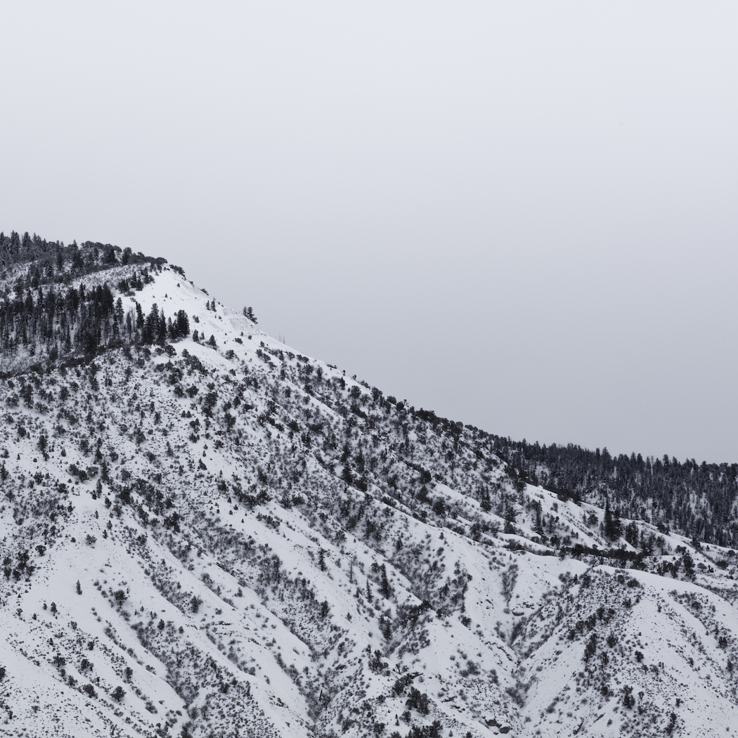 Nicholas_Worley_photography_006