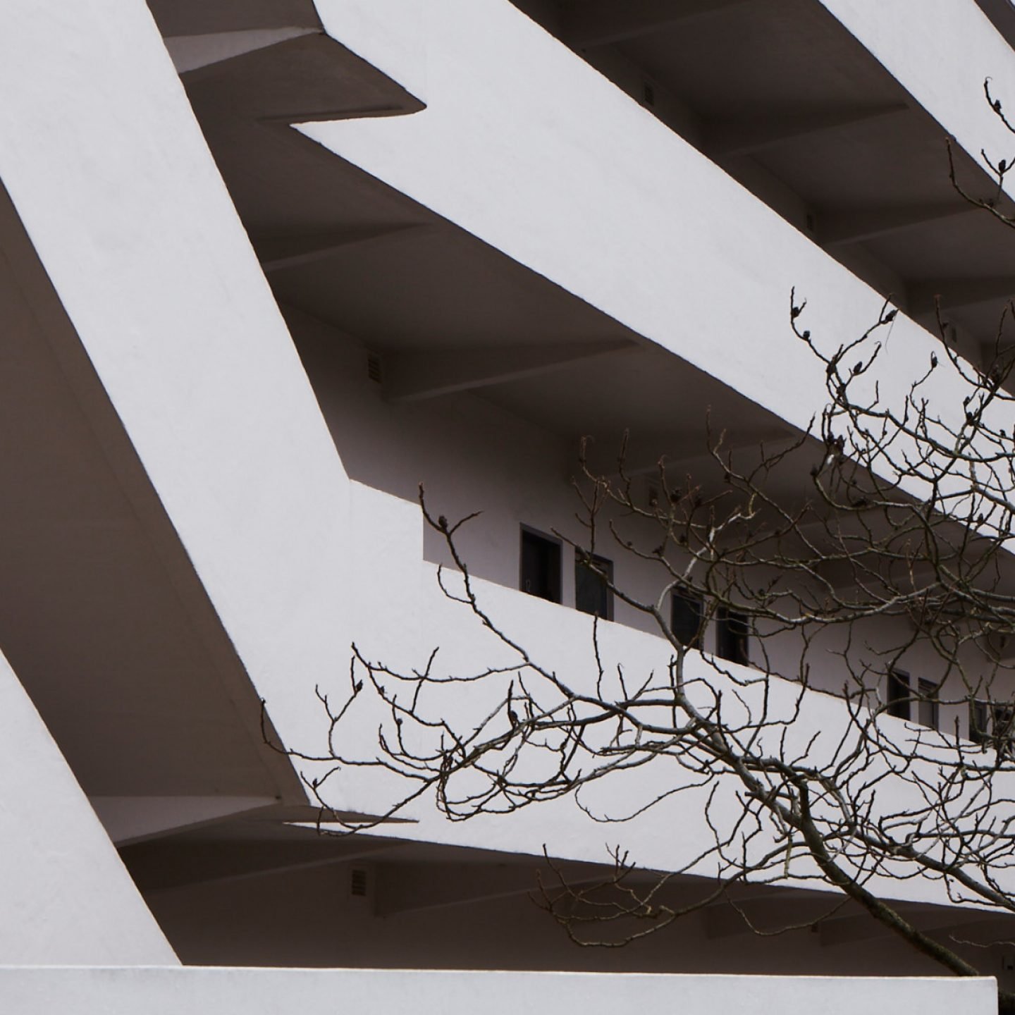 Isokon_108_story