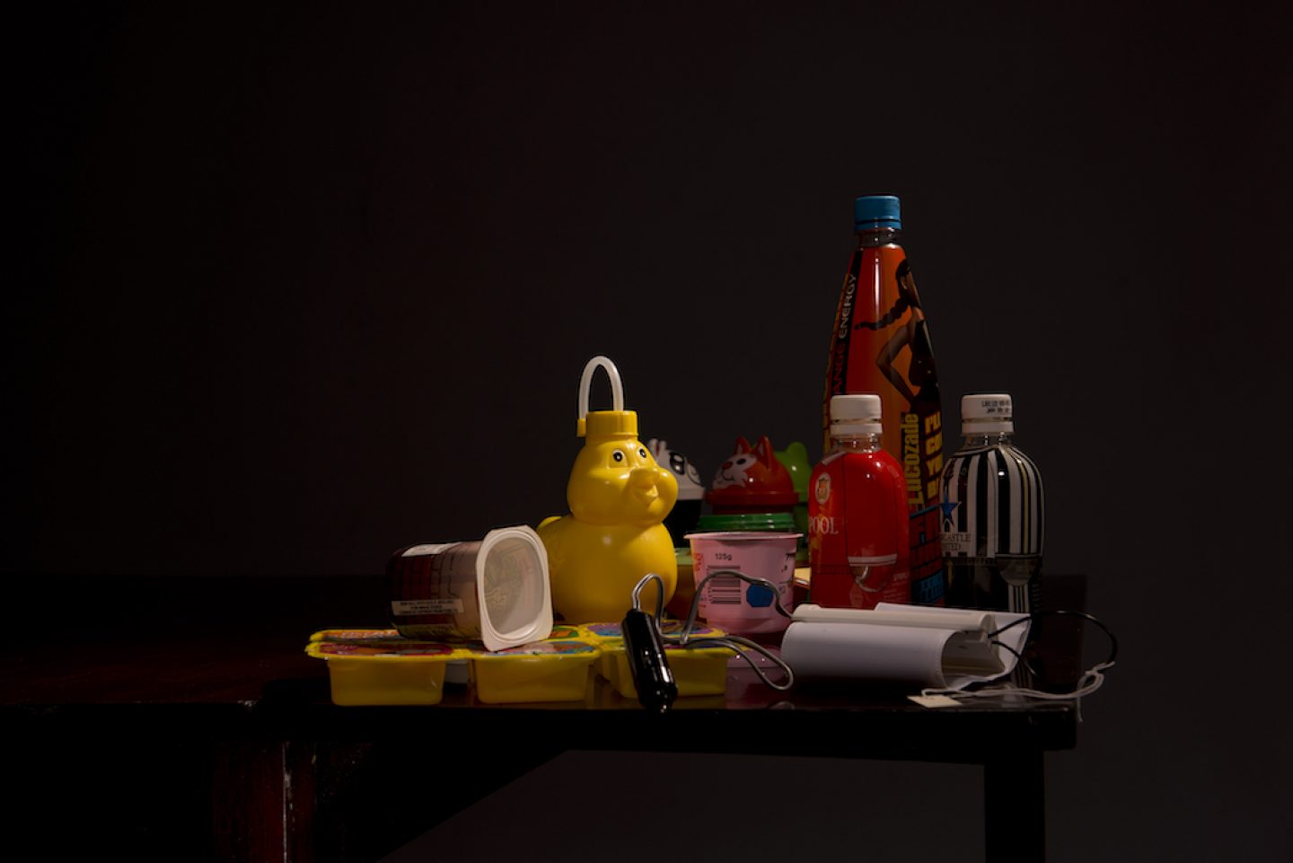 MN2_DUCK_Plastic_Vanitas1328