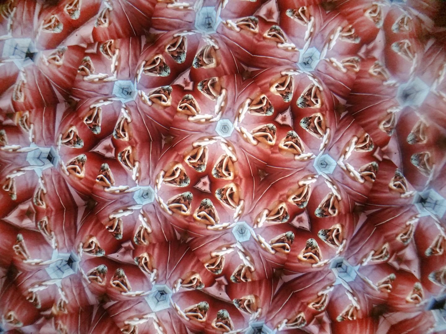 Mesmerizing Kaleidoscope Photographs By Laura Zalenga - IGNANT