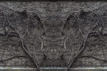 2016-05-26_5746c1a8d9805_15112015-_MG_8606-diptyque-rorschach.jpg