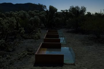 Going Back To The Roots With Ali Beletic - IGNANT