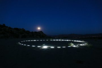 Going Back To The Roots With Ali Beletic - IGNANT