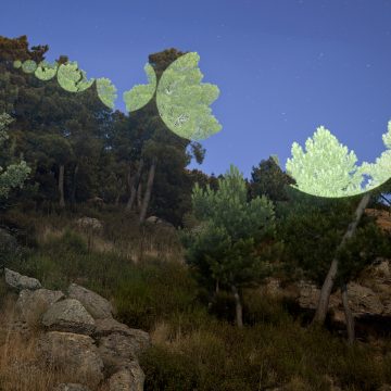 Geometrically Illuminated Landscapes By Javier Riera - IGNANT