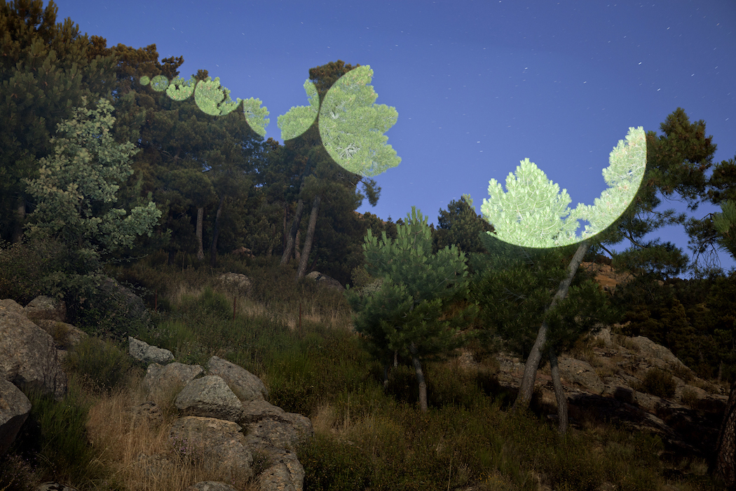 Geometrically Illuminated Landscapes By Javier Riera - IGNANT