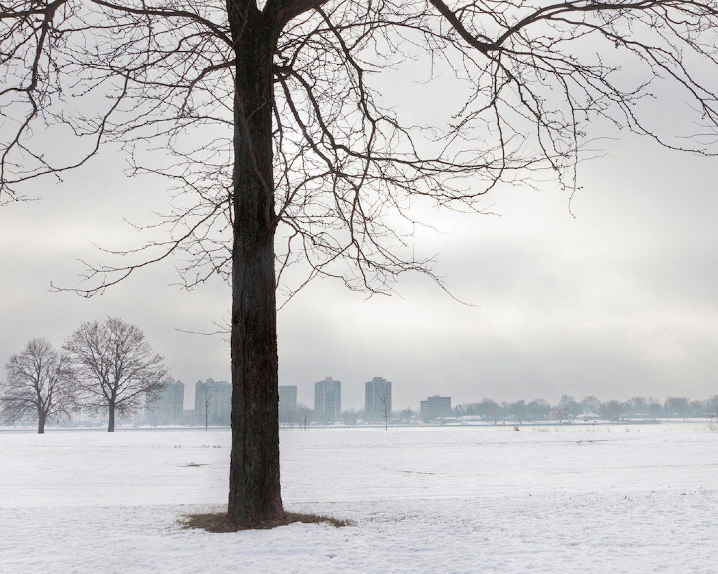 Jennifer Garza-Cuen_photography - Snowscape, Detroit, MI