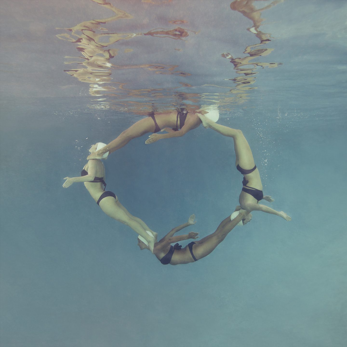 MalloryMorrison_photography-Dolphin-Circle