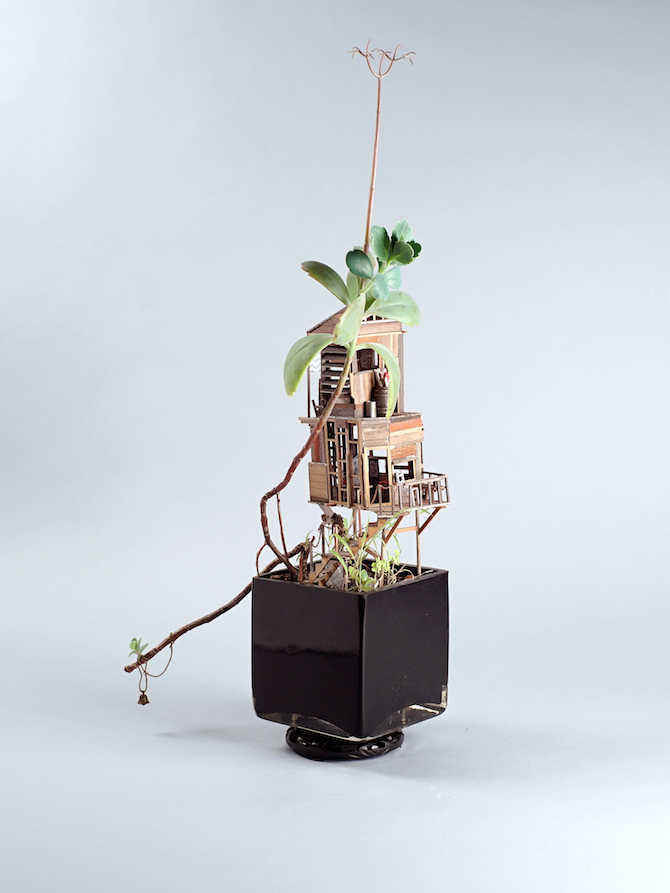 Miniature Tree Huts For House Plants Ignant Jedidiah Corwyn Voltz Art 006